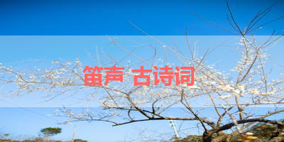 笛声 古诗词 