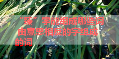 “臻”字能组成哪些词 由意思相反的字组成的词