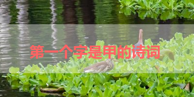 第一个字是甲的诗词 