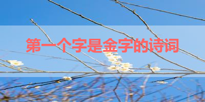 第一个字是金字的诗词 