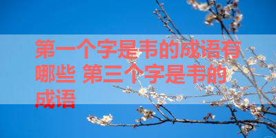 第一个字是韦的成语有哪些 第三个字是韦的成语