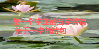 第一个字芷的五字诗词 关于一字的诗句 