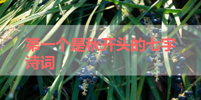 第一个是秋开头的七字诗词 