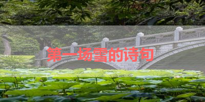 第一场雪的诗句 