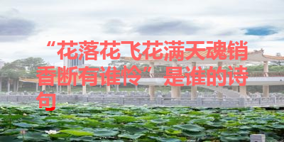 “花落花飞花满天魂销香断有谁怜”是谁的诗句 