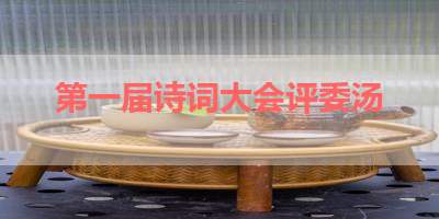 第一届诗词大会评委汤 