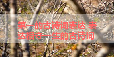 第一的古诗词表达 表达相守一生的古诗词