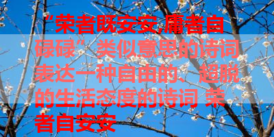 “荣者既安安,庸者自碌碌”类似意思的诗词表达一种自由的、超脱的生活态度的诗词 荣者自安安