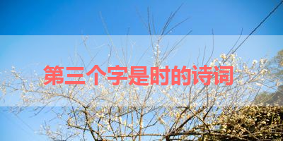第三个字是时的诗词 