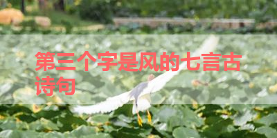 第三个字是风的七言古诗句 