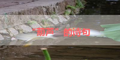 “葫芦”的诗句 