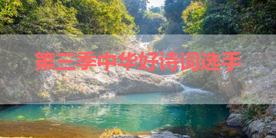 第三季中华好诗词选手 