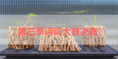 第三季诗词大赛决赛 