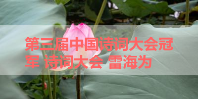 第三届中国诗词大会冠军 诗词大会 雷海为
