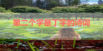 第二个字是丁字的诗词 