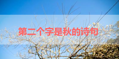 第二个字是秋的诗句 
