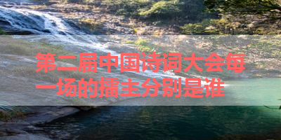 第二届中国诗词大会每一场的擂主分别是谁 