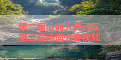 第二届诗词大赛冠军 第二届诗词大赛视频