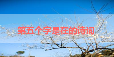 第五个字是在的诗词 