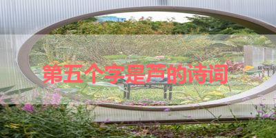 第五个字是芦的诗词 