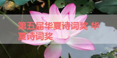 第五届华夏诗词奖 华夏诗词奖