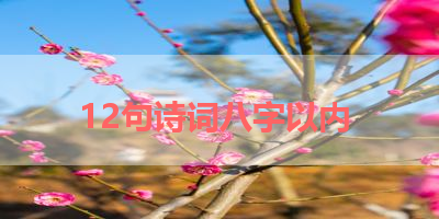12句诗词八字以内 