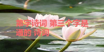 第字诗词 第三个字是通的 诗词