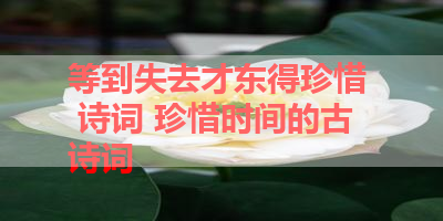 等到失去才东得珍惜  诗词 珍惜时间的古诗词