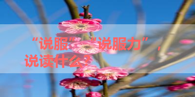 “说服”“说服力”，说读什么？ 