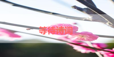 等待诗词 