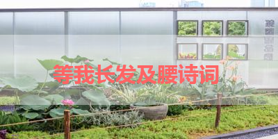 等我长发及腰诗词 