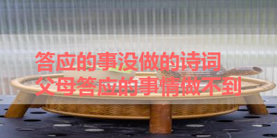 答应的事没做的诗词 父母答应的事情做不到