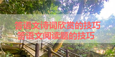 答语文诗词欣赏的技巧 答语文阅读题的技巧