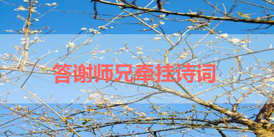 答谢师兄牵挂诗词 