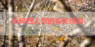 粉碎四人帮的有关诗词 