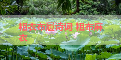 粗衣布履诗词 粗布麻衣