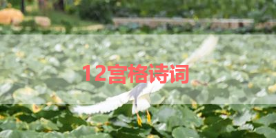 12宫格诗词 