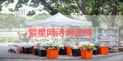 繁星网诗词孟琦 