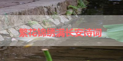 繁花锦绣满长安诗词 