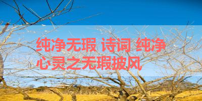 纯净无瑕 诗词 纯净心灵之无瑕披风