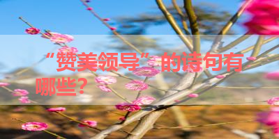 “赞美领导”的诗句有哪些？ 