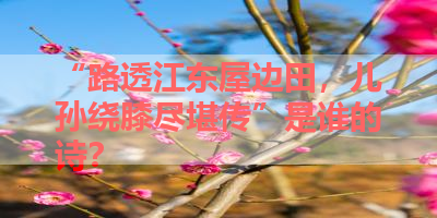 “路透江东屋边田，儿孙绕膝尽堪传”是谁的诗？ 