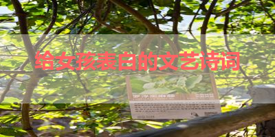 给女孩表白的文艺诗词 