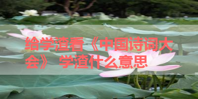 给学渣看《中国诗词大会》 学渣什么意思 