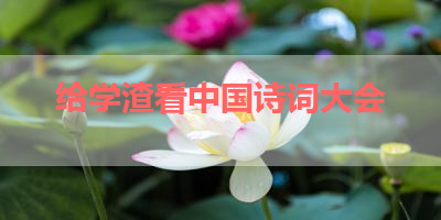 给学渣看中国诗词大会 