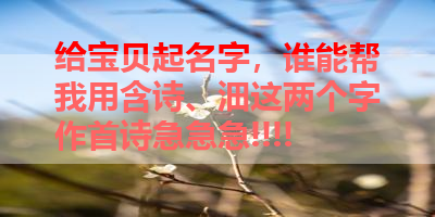 给宝贝起名字，谁能帮我用含诗、沺这两个字作首诗急急急!!!! 