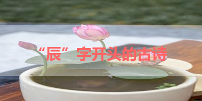 “辰”字开头的古诗 