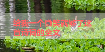 给我一个微笑就够了这首诗词的全文 