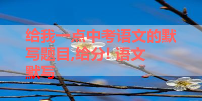 给我一点中考语文的默写题目,给分! 语文默写