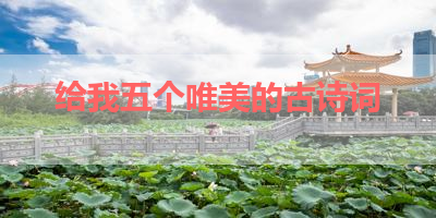 给我五个唯美的古诗词 